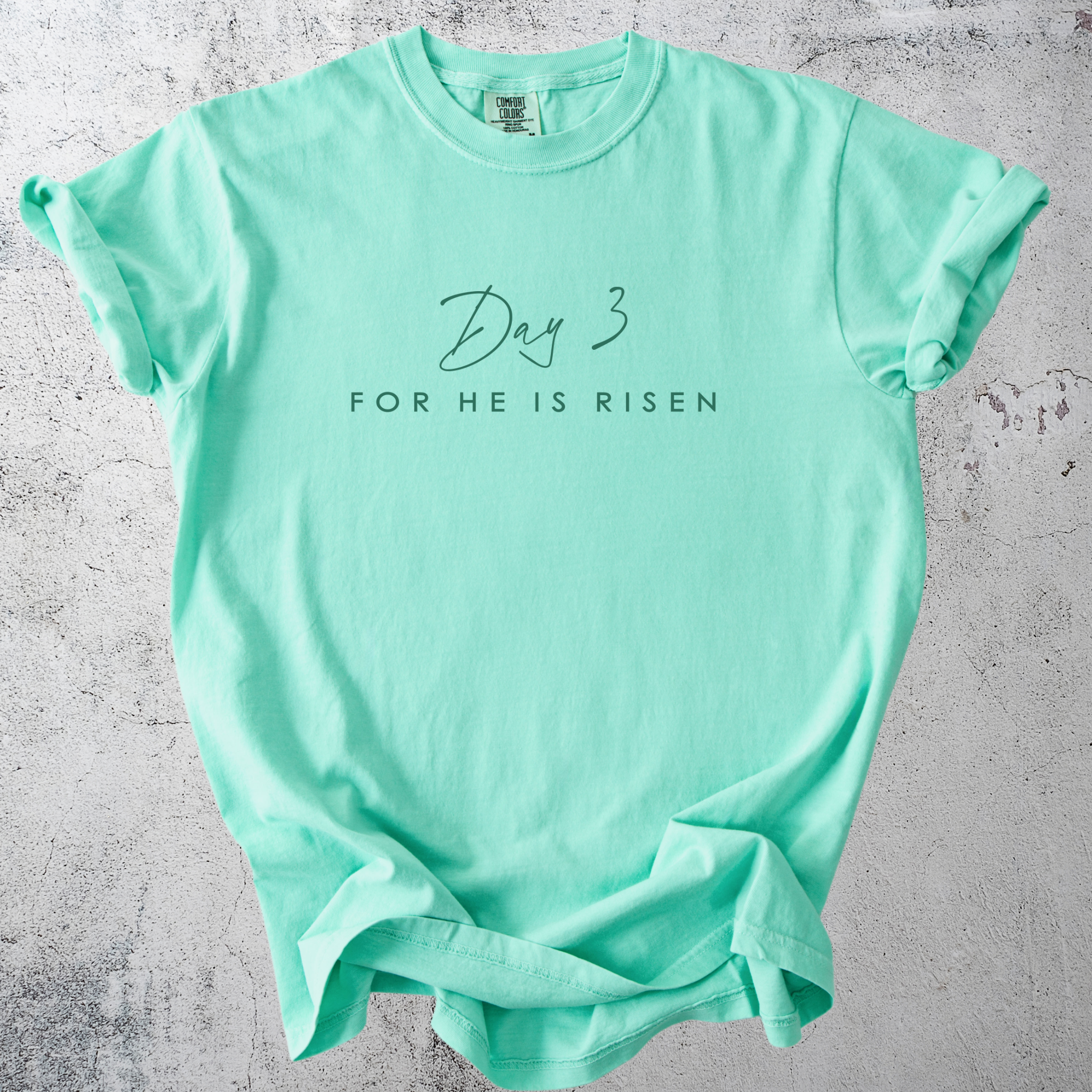 Day 3 | For He is Risen image 2